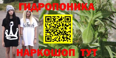 крисы Бийск