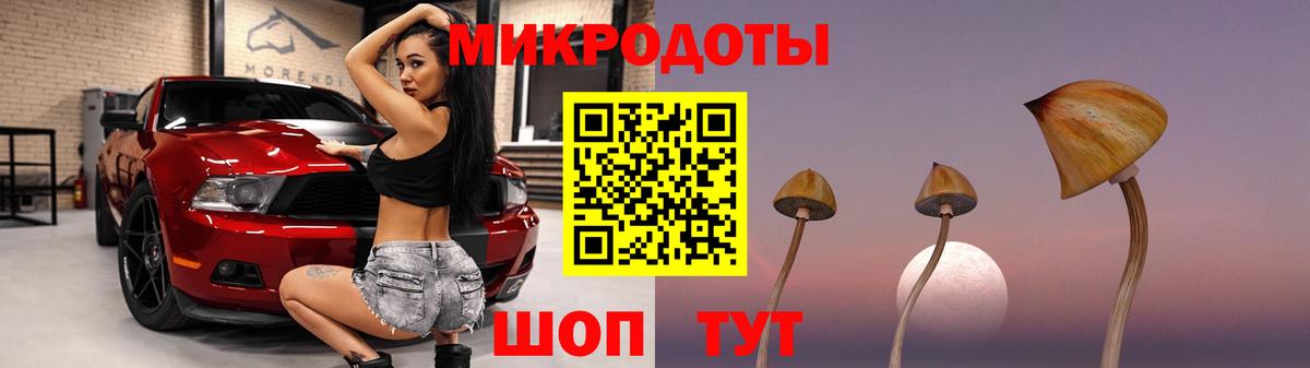 Псилоцибиновые грибы ЛСД Избербаш